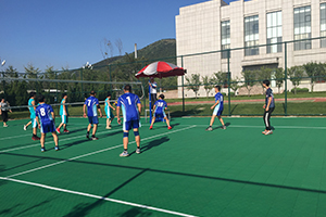 我公司在2017年普灣經(jīng)濟(jì)區(qū)職工排球賽中獲得佳績(jī)